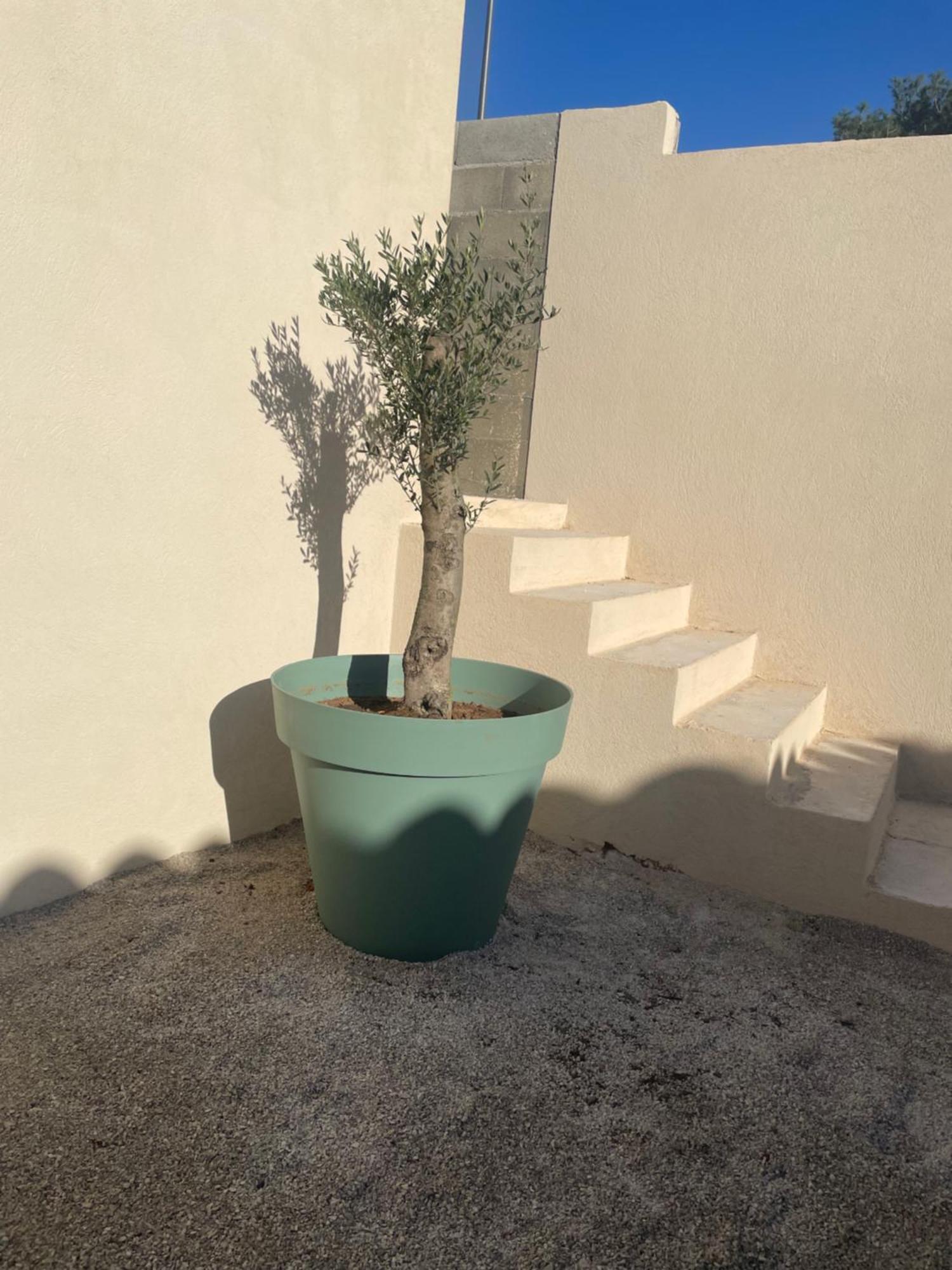 מיראמאס Maison_Du_Sud_13140 מראה חיצוני תמונה
